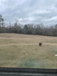 Mobile Home For Sale - image 24