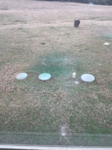 Mobile Home For Sale - image 23