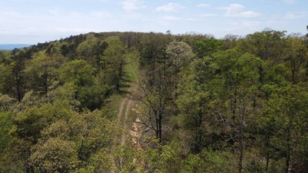 316.4 Acres Mountain Land For Sale Nashoba Oklahoma - image 21