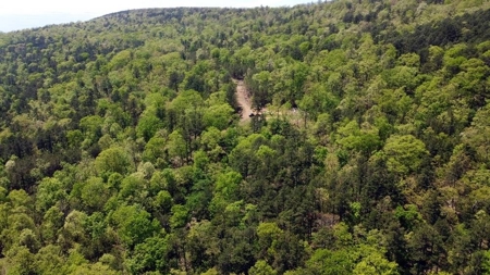 316.4 Acres Mountain Land For Sale Nashoba Oklahoma - image 11
