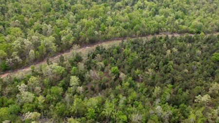 316.4 Acres Mountain Land For Sale Nashoba Oklahoma - image 18