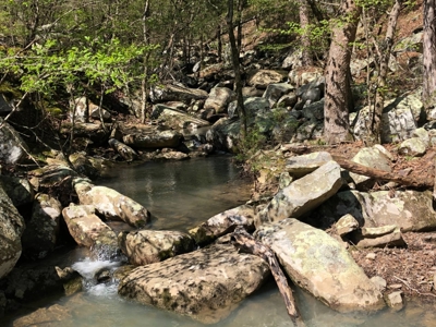 316.4 Acres Mountain Land For Sale Nashoba Oklahoma - image 43