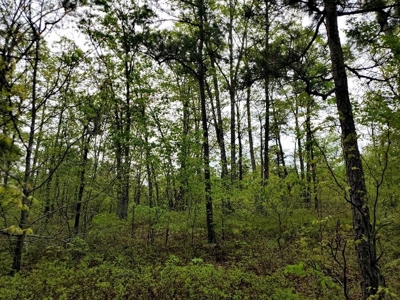 316.4 Acres Mountain Land For Sale Nashoba Oklahoma - image 15