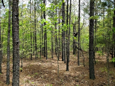 316.4 Acres Mountain Land For Sale Nashoba Oklahoma - image 25