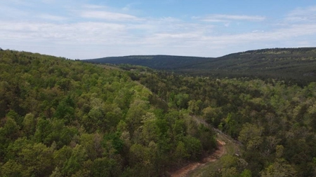 316.4 Acres Mountain Land For Sale Nashoba Oklahoma - image 2
