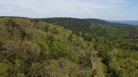 316.4 Acres Mountain Land For Sale Nashoba Oklahoma - image 24