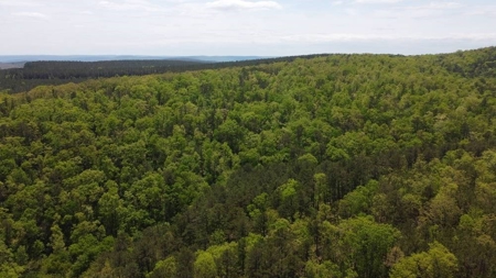 316.4 Acres Mountain Land For Sale Nashoba Oklahoma - image 27