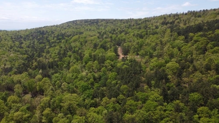 316.4 Acres Mountain Land For Sale Nashoba Oklahoma - image 19