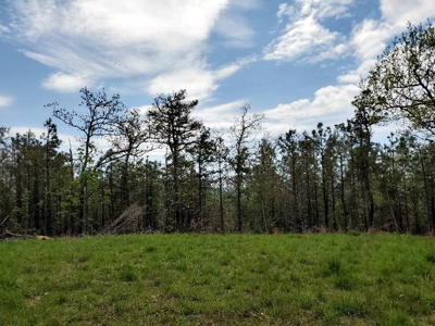 316.4 Acres Mountain Land For Sale Nashoba Oklahoma - image 40