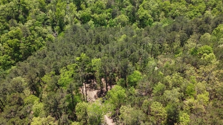 316.4 Acres Mountain Land For Sale Nashoba Oklahoma - image 8