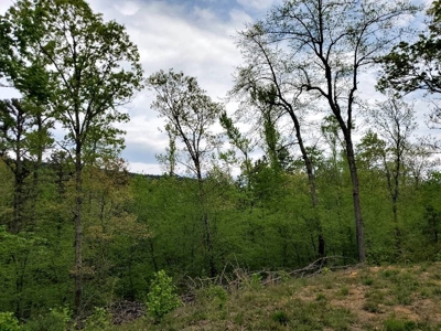 316.4 Acres Mountain Land For Sale Nashoba Oklahoma - image 31