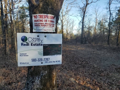 316.4 Acres Mountain Land For Sale Nashoba Oklahoma - image 3