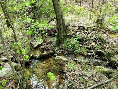 316.4 Acres Mountain Land For Sale Nashoba Oklahoma - image 30