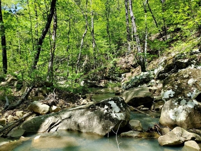 316.4 Acres Mountain Land For Sale Nashoba Oklahoma - image 28