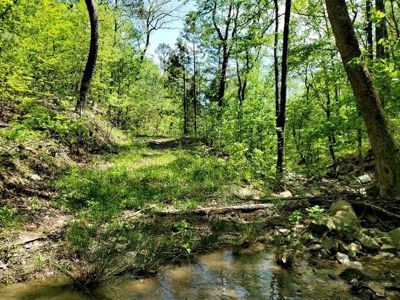 316.4 Acres Mountain Land For Sale Nashoba Oklahoma - image 5