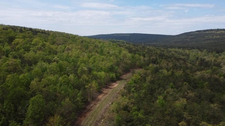 316.4 Acres Mountain Land For Sale Nashoba Oklahoma - image 46