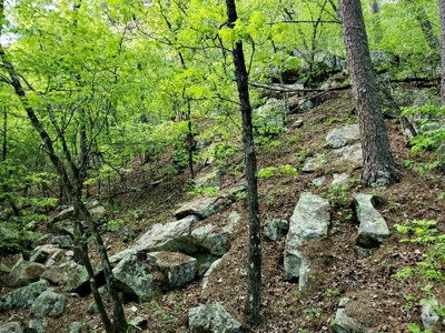 316.4 Acres Mountain Land For Sale Nashoba Oklahoma - image 45