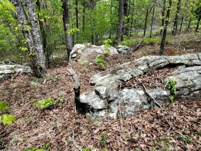 316.4 Acres Mountain Land For Sale Nashoba Oklahoma - image 44