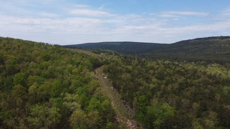316.4 Acres Mountain Land For Sale Nashoba Oklahoma - image 17