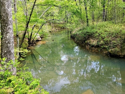 316.4 Acres Mountain Land For Sale Nashoba Oklahoma - image 42