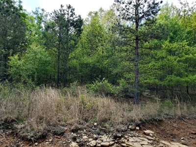 316.4 Acres Mountain Land For Sale Nashoba Oklahoma - image 36