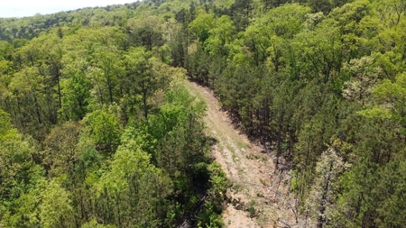 316.4 Acres Mountain Land For Sale Nashoba Oklahoma - image 41