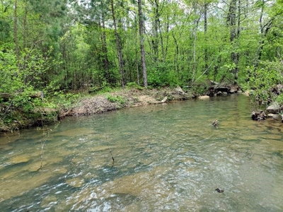 316.4 Acres Mountain Land For Sale Nashoba Oklahoma - image 20