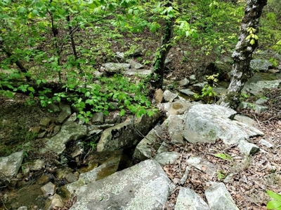316.4 Acres Mountain Land For Sale Nashoba Oklahoma - image 14