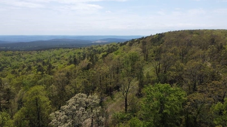 316.4 Acres Mountain Land For Sale Nashoba Oklahoma - image 29