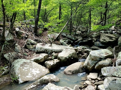 316.4 Acres Mountain Land For Sale Nashoba Oklahoma - image 32