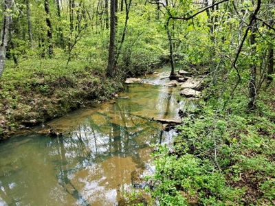 316.4 Acres Mountain Land For Sale Nashoba Oklahoma - image 39