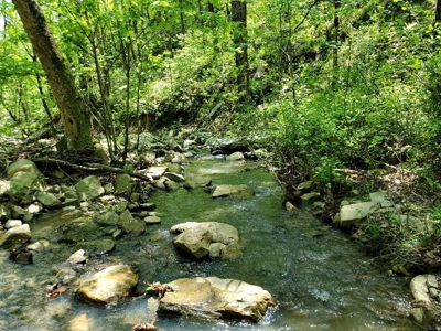 316.4 Acres Mountain Land For Sale Nashoba Oklahoma - image 22