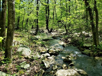 316.4 Acres Mountain Land For Sale Nashoba Oklahoma - image 4