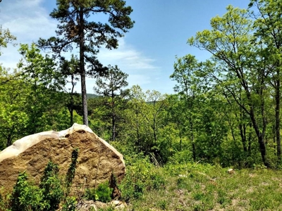 316.4 Acres Mountain Land For Sale Nashoba Oklahoma - image 37