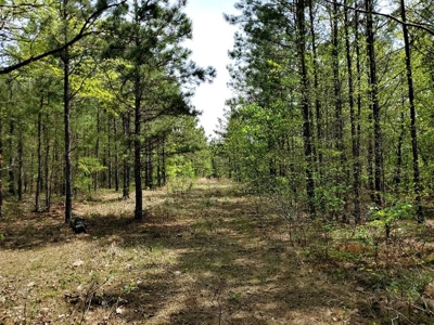 316.4 Acres Mountain Land For Sale Nashoba Oklahoma - image 1