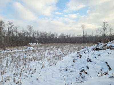 Secluded Geauga County Hunting Retreat - image 6
