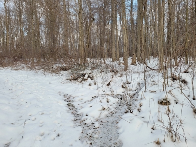 Secluded Geauga County Hunting Retreat - image 8