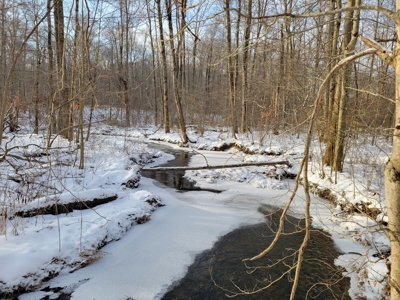 Secluded Geauga County Hunting Retreat - image 4