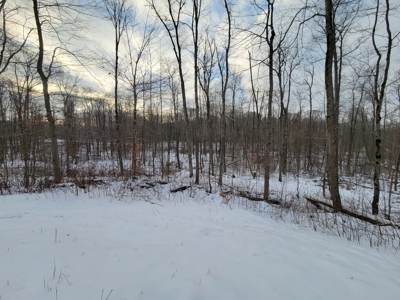 Secluded Geauga County Hunting Retreat - image 5