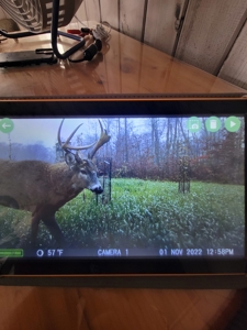 Secluded Geauga County Hunting Retreat - image 20