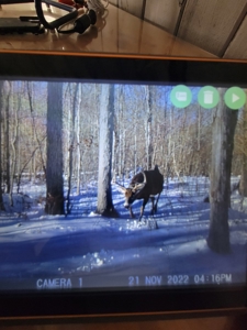 Secluded Geauga County Hunting Retreat - image 18