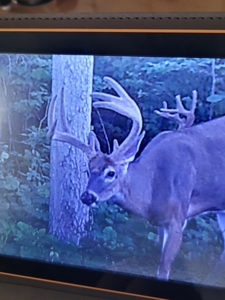 Secluded Geauga County Hunting Retreat - image 14
