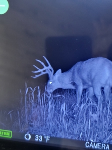 Secluded Geauga County Hunting Retreat - image 17