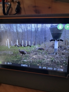 Secluded Geauga County Hunting Retreat - image 16