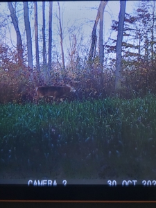 Secluded Geauga County Hunting Retreat - image 19