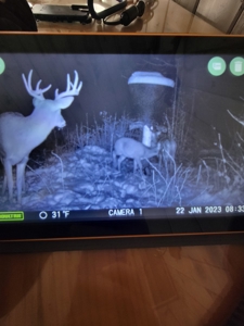 Secluded Geauga County Hunting Retreat - image 15