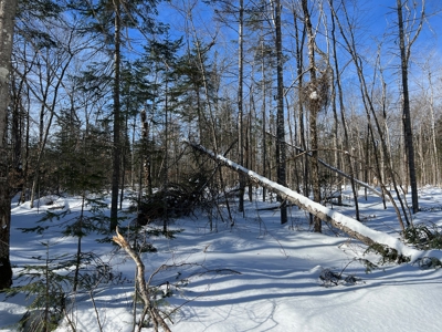 52± Acres Near Moosehead Lake - image 23