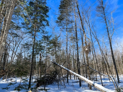 52± Acres Near Moosehead Lake - image 24