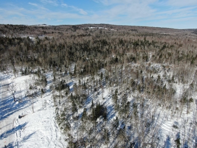 52± Acres Near Moosehead Lake - image 7