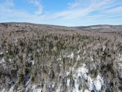 52± Acres Near Moosehead Lake - image 21